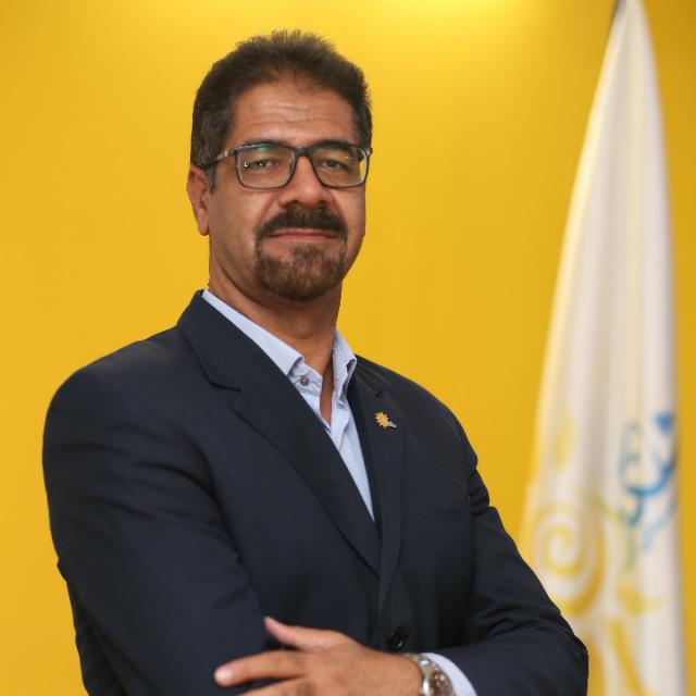 دوره سیستم سازی